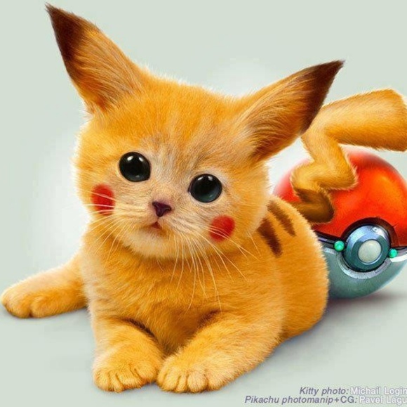 Meet your Posher, Davon - Picture 1 of 1